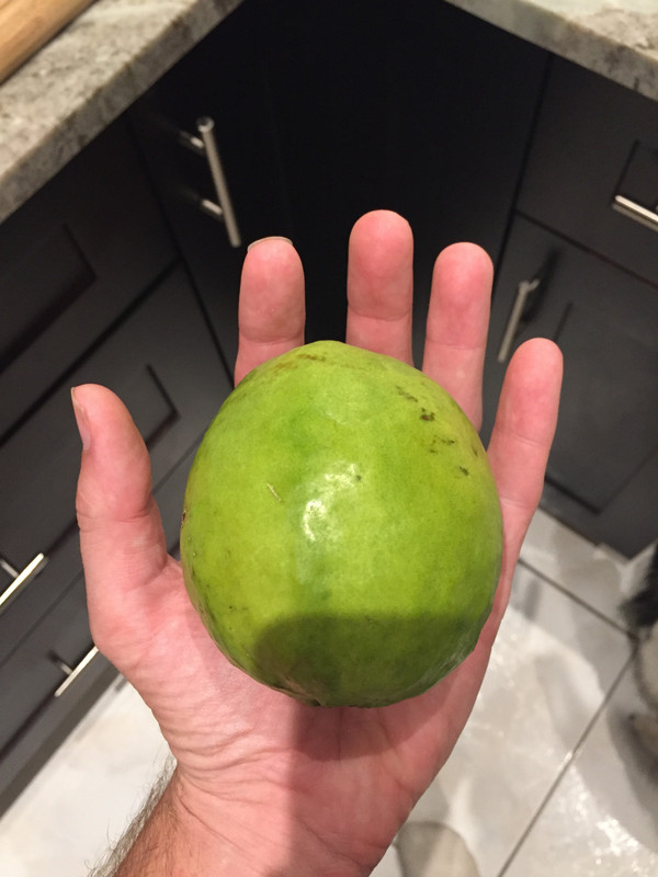 30EC6769-7E73-43D0-B171-0ED956429BA4