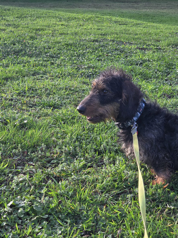 [Image: IMG-20251111-WA0021.jpg]