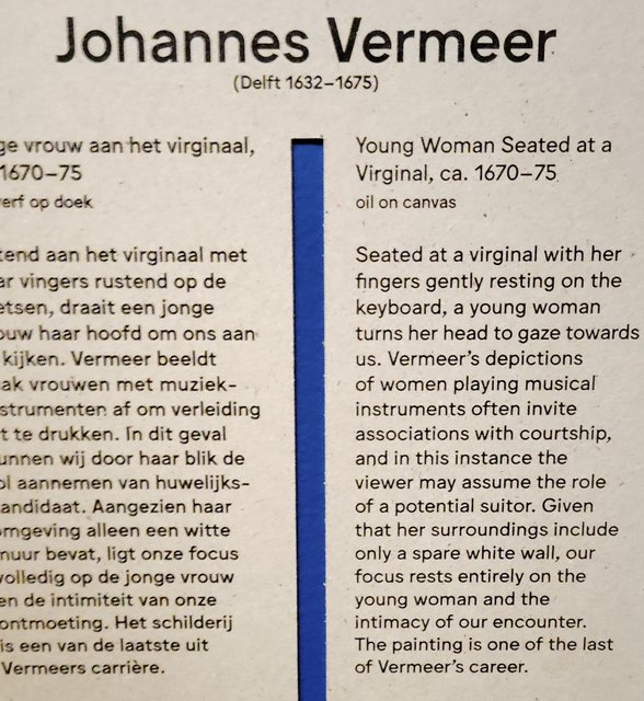 Escapada por Amsterdam - La Haya - Delft - Rotterdam - Leiden - Londres - Blogs de Europa - Museo Mauritshuis, decepcionante Depot Boijmans y callejeo por Delft y Leiden (227)