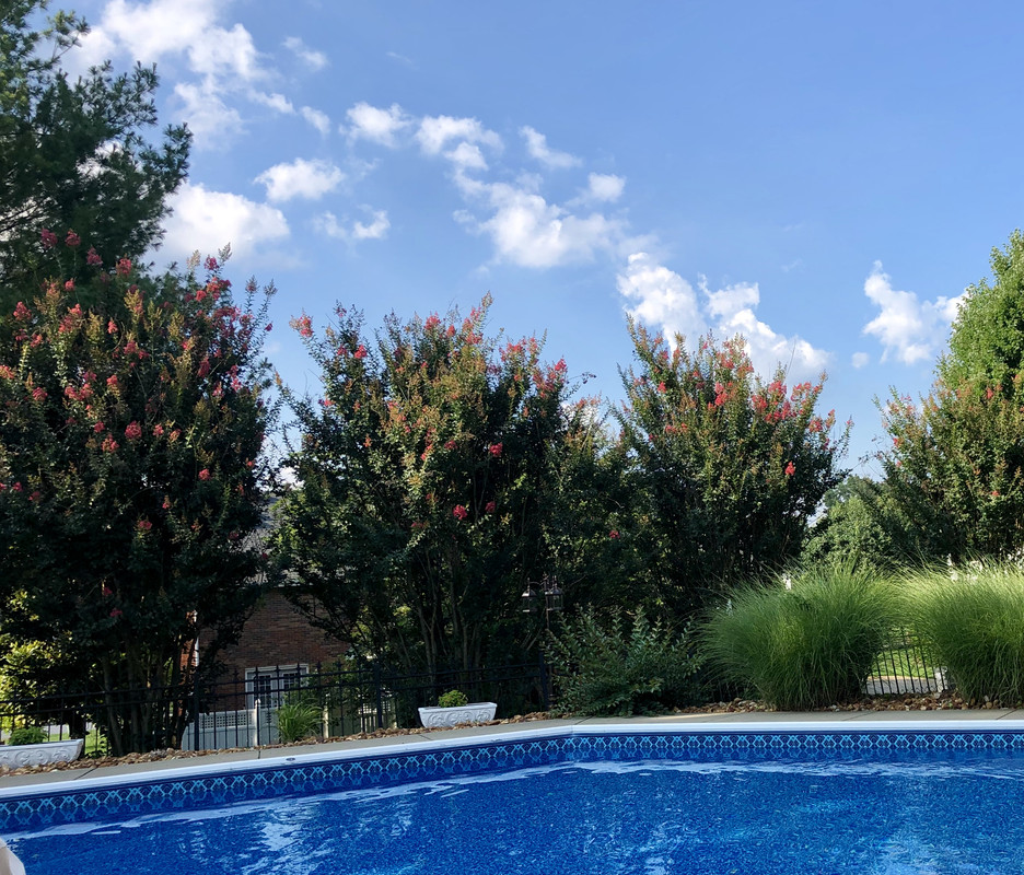 4260A191-EF39-4309-BF6C-C7DC0DAC799A