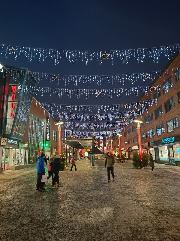 Día 7. Ciencia, madera y despedida de Rovaniemi – Viaje a Laponia con niñas - Viaje a Laponia con niñas - Finlandia 8 días (11)