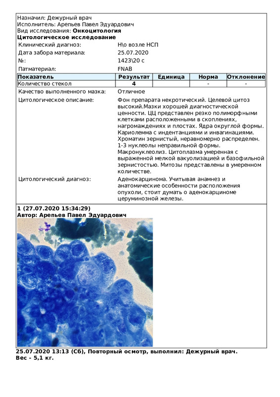 ЭПИКРИЗ ЗА ПЕРИОД (Туся)_page-0005