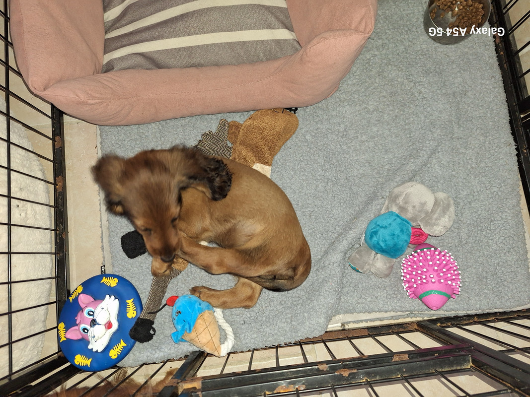 [Image: 20240908-101927.jpg]