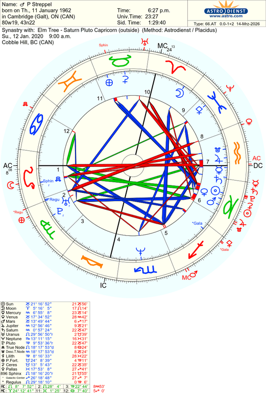 astro 66at p streppel elm tree saturn pluto capricorn 62232 3810975