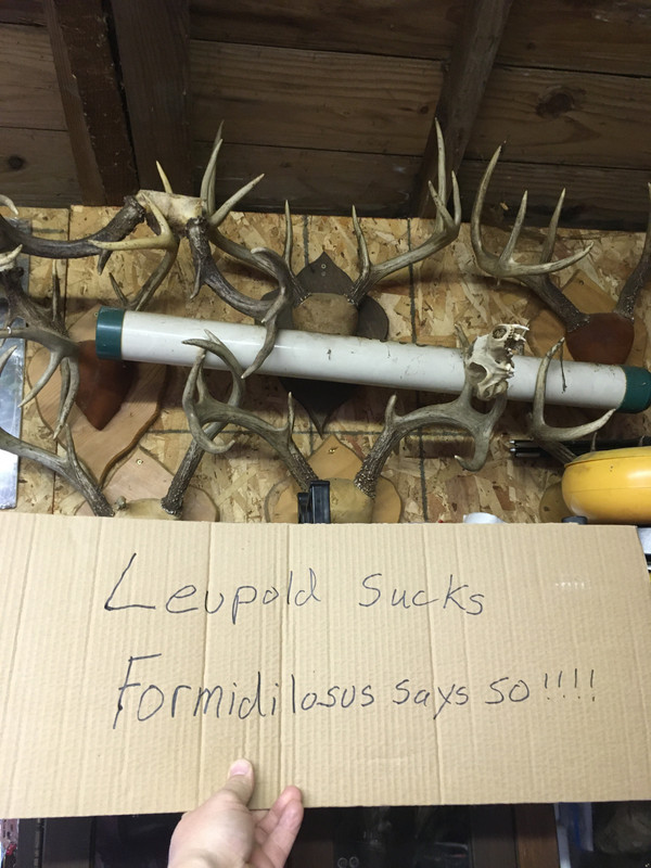 21F4D3ED-5029-4113-B765-FCBD9679AAFF