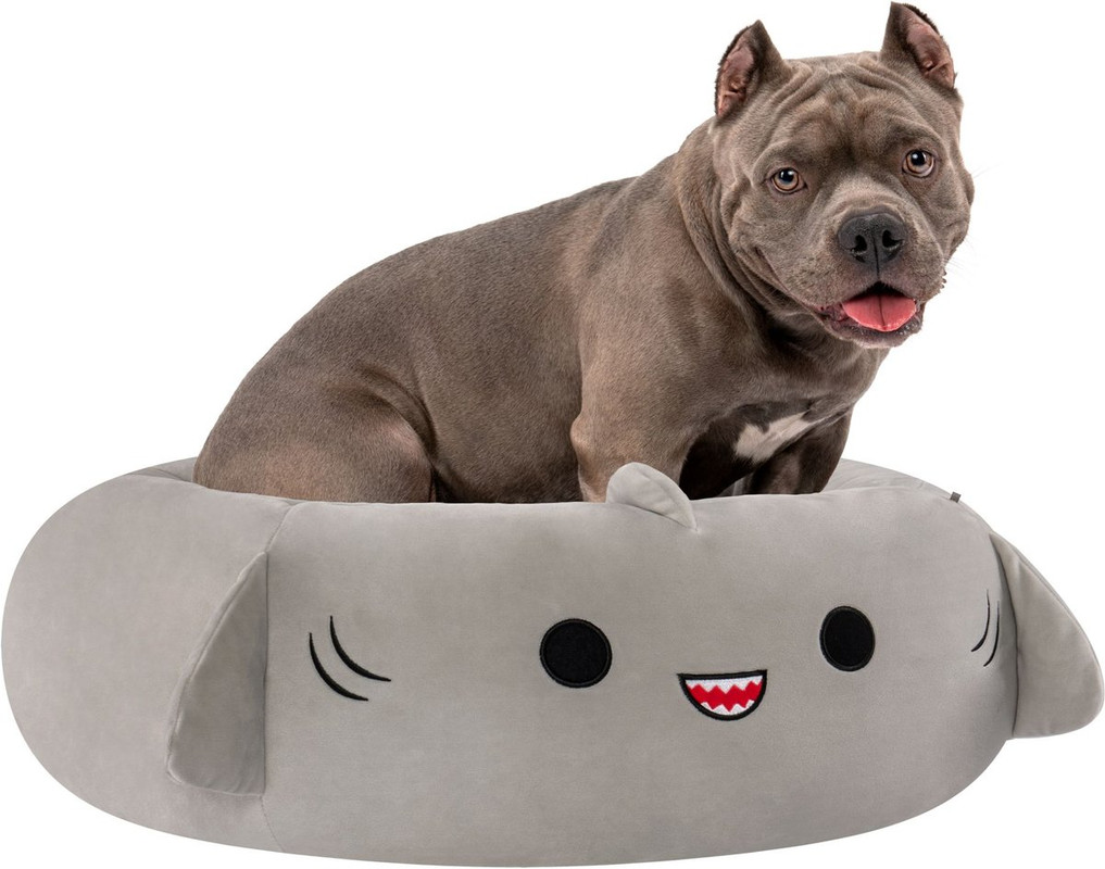 Cozy Up with Squishmallows’ Adorable Pet Beds at Chewy