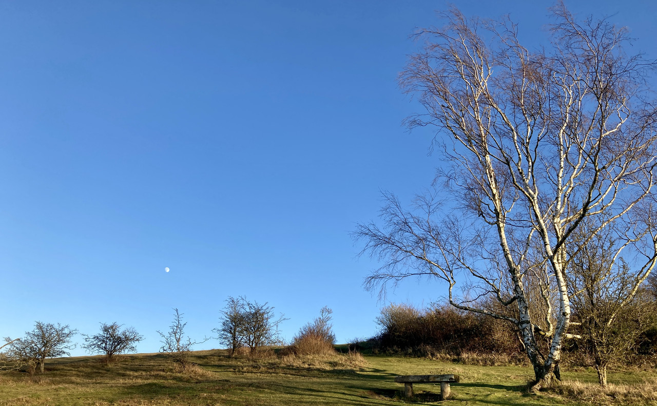 F67F8F5A-67A6-4052-8169-9A5C025CAF30