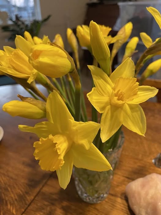 650492068-4176050265871616-6738454921185350033-n