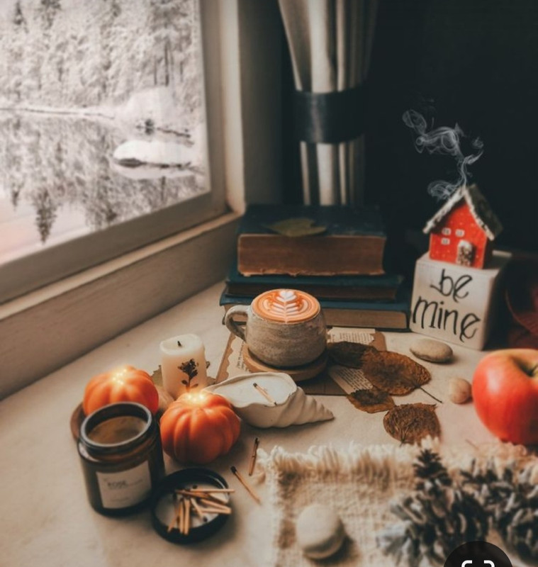 Screenshot_20231121_221856_Pinterest