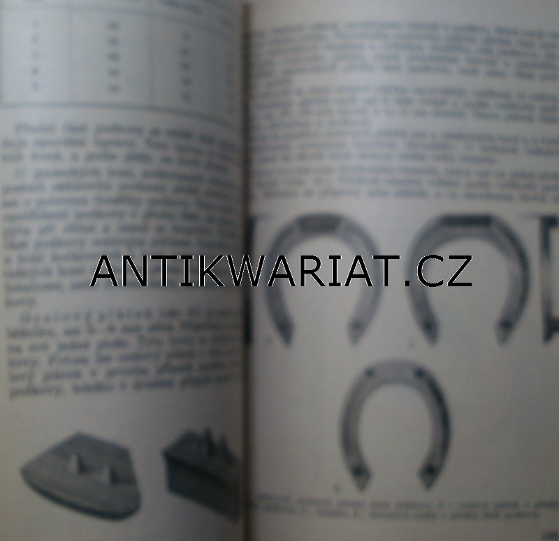 11a-AWECKO00008