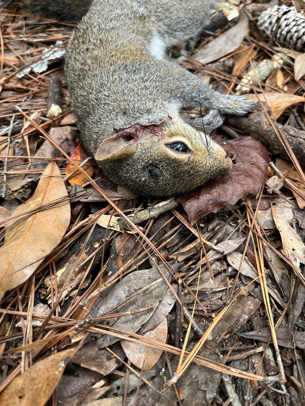 thumbnail 2026 03 05T080131 211