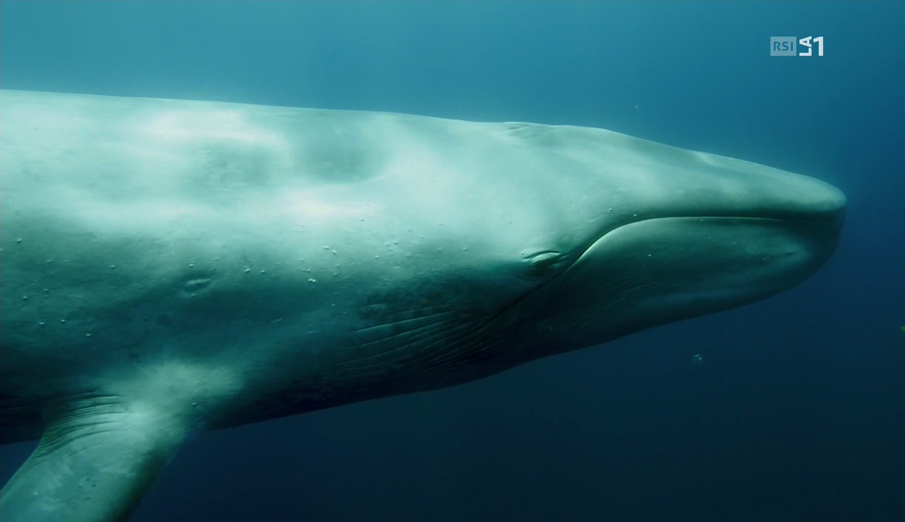 vlcsnap-2016-12-08-09h35m18s658