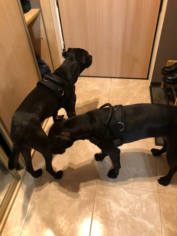 351ADCC0-6E90-4F75-ACD2-E0D48F88FE9A