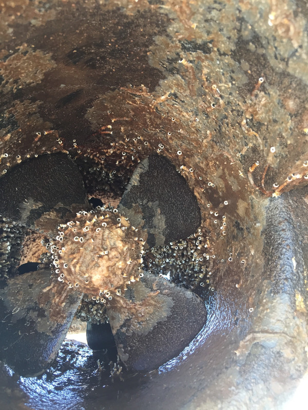 0DB6E93D-6B61-47AC-964F-6A314A22767B