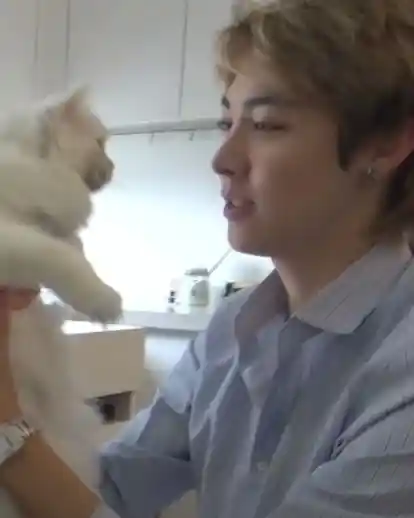 7e5a7f23d6a31786194b9e572d13a018_copy_414x518