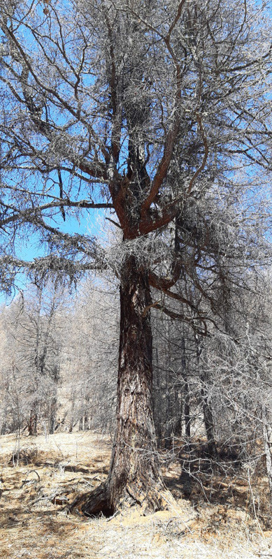 IMG_20190511_143623_193