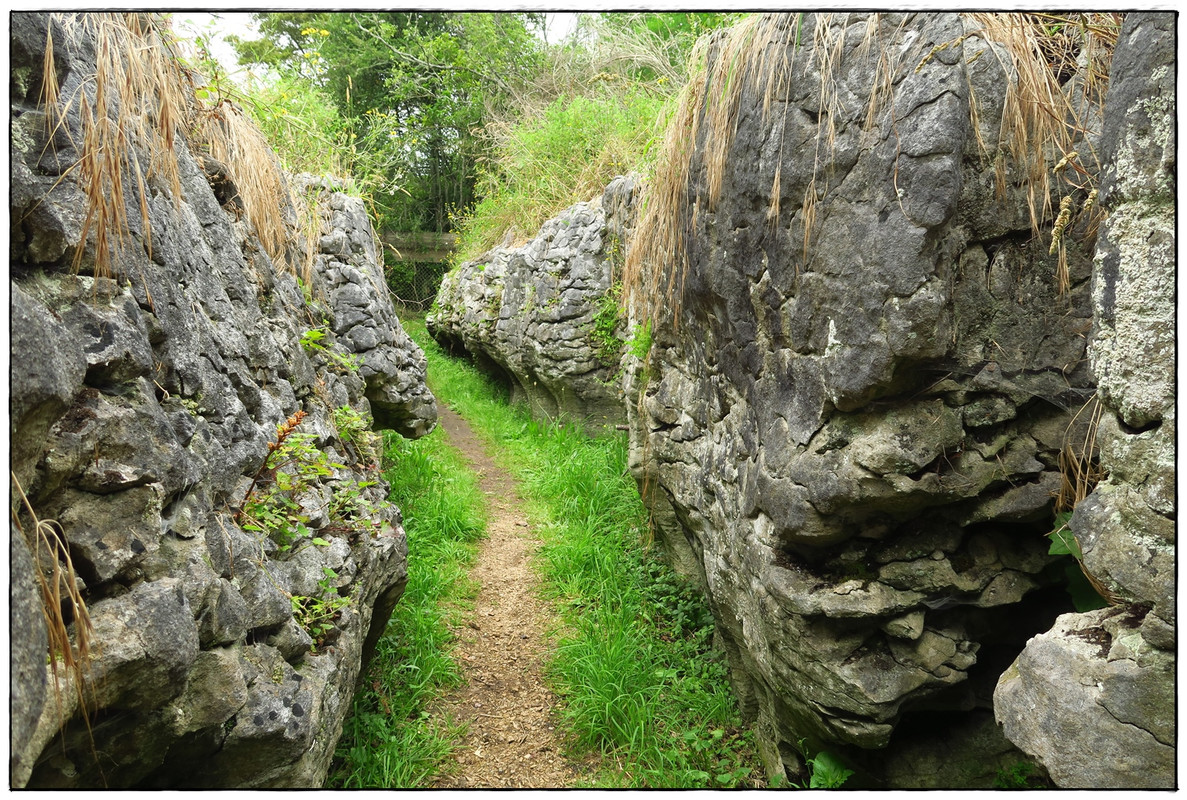 Escapadas y rutas por la Nueva Zelanda menos conocida - Blogs de Nueva Zelanda - Golden Bay (Navidad 2020, II) (31)