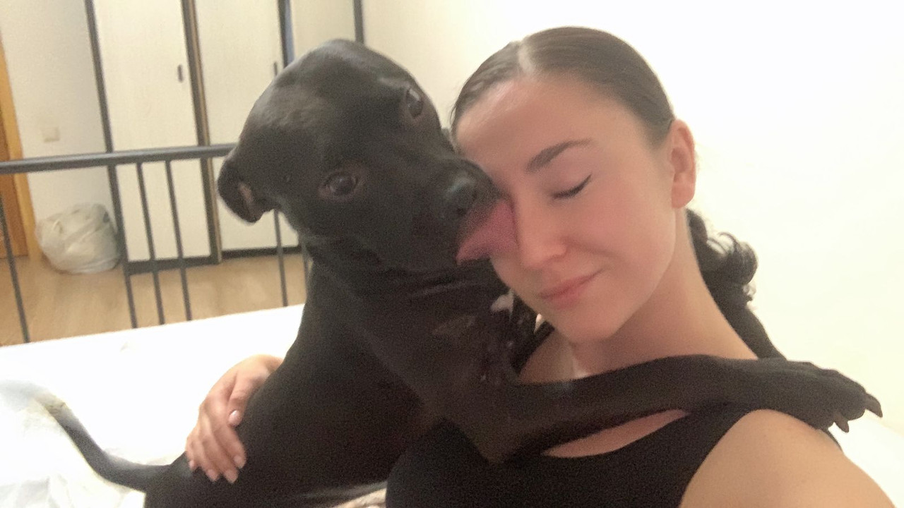 6B761959-67A4-4B82-9350-476FD33C5A33