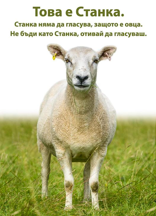 stanka.png