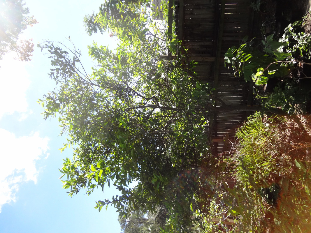 DSC02666