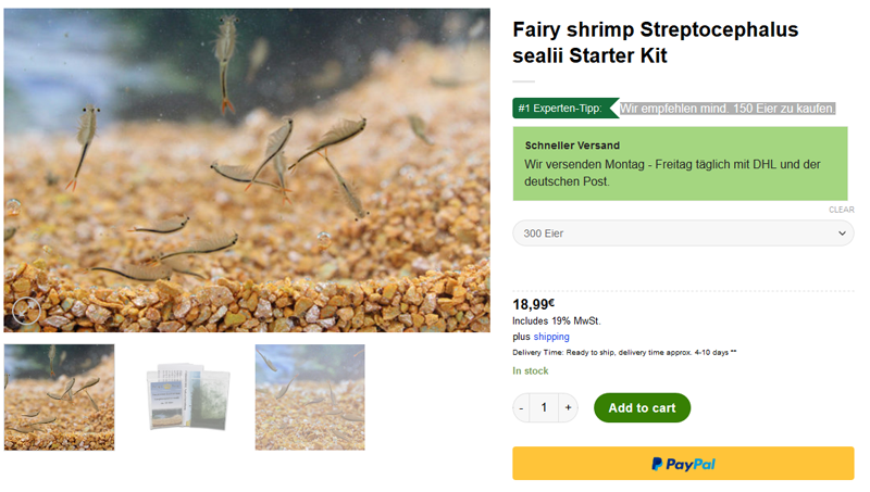 Screenshot-2020-02-21-Fairy-shrimp-Strep