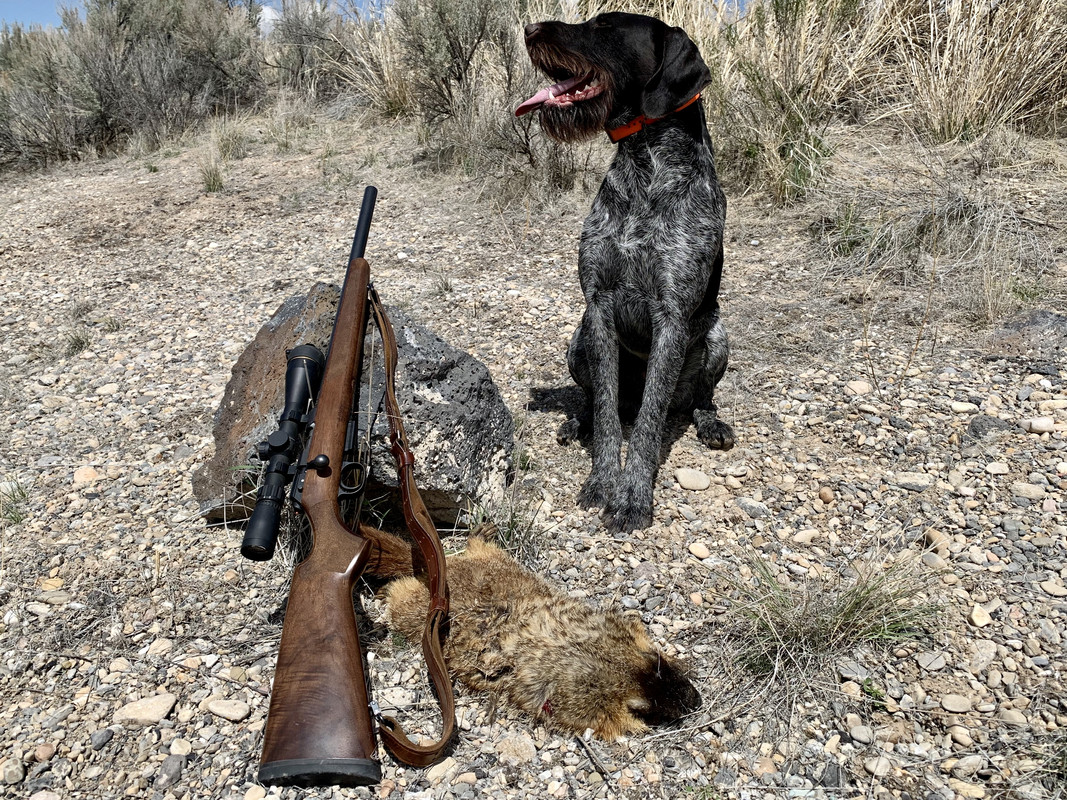 90AB2881-4E3F-4CB5-8FED-B9BA1B83159C