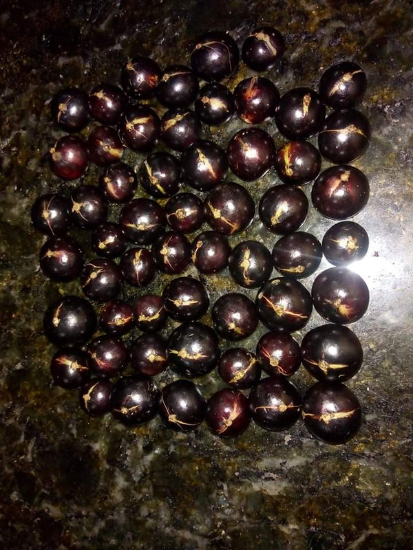 WhatsApp Image 2020-12-20 at 00.10.49 (57)