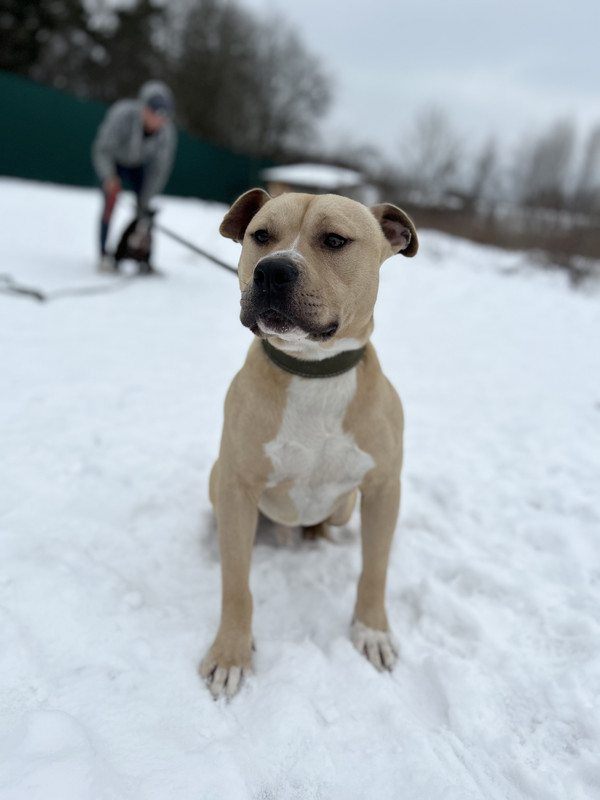 B072F396-607B-4C5D-8AC4-4FDD712C9DD6