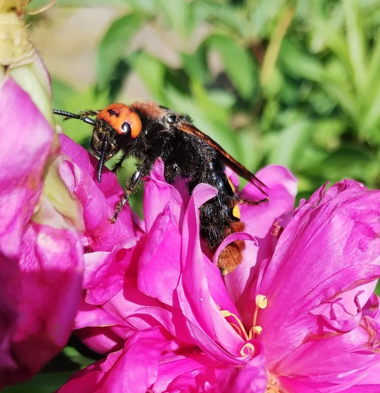 изображение_viber_2025-06-14_12-41-31-333