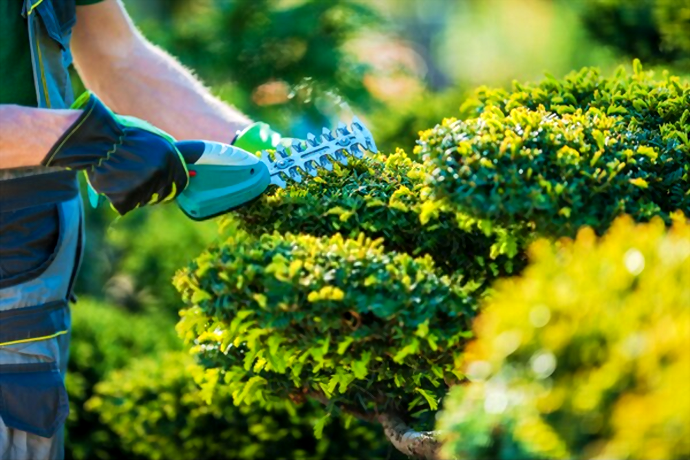 landscaping bentleigh landscaping bentleigh
