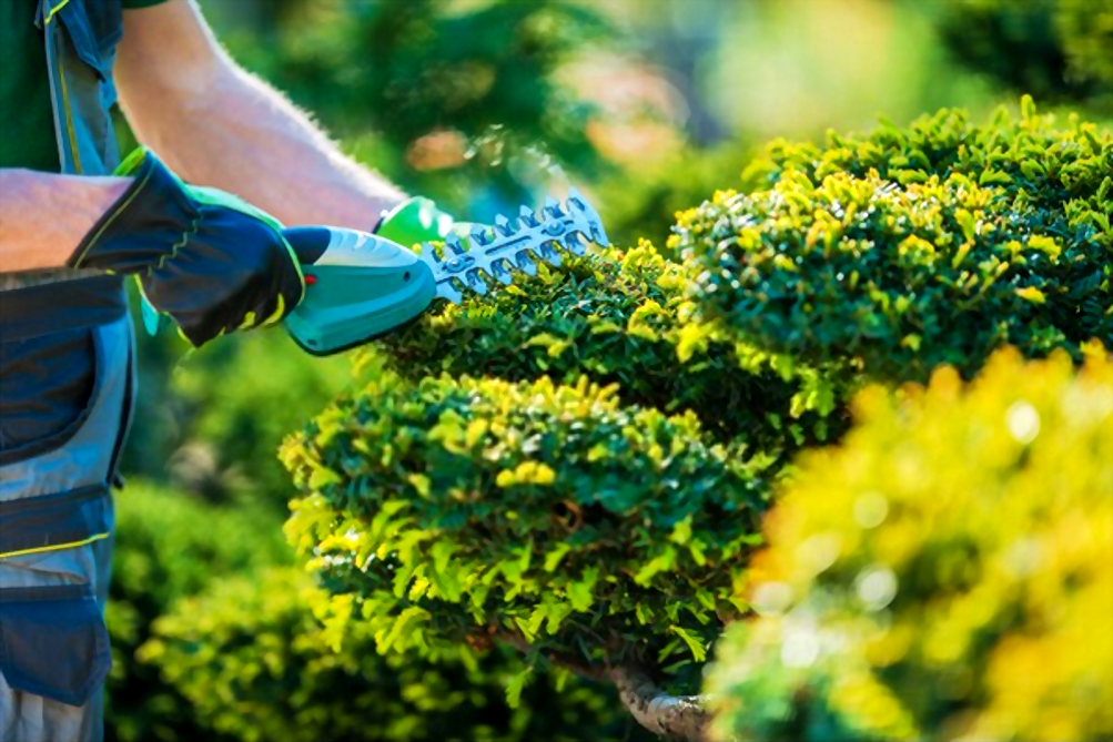 landscaping bentleigh