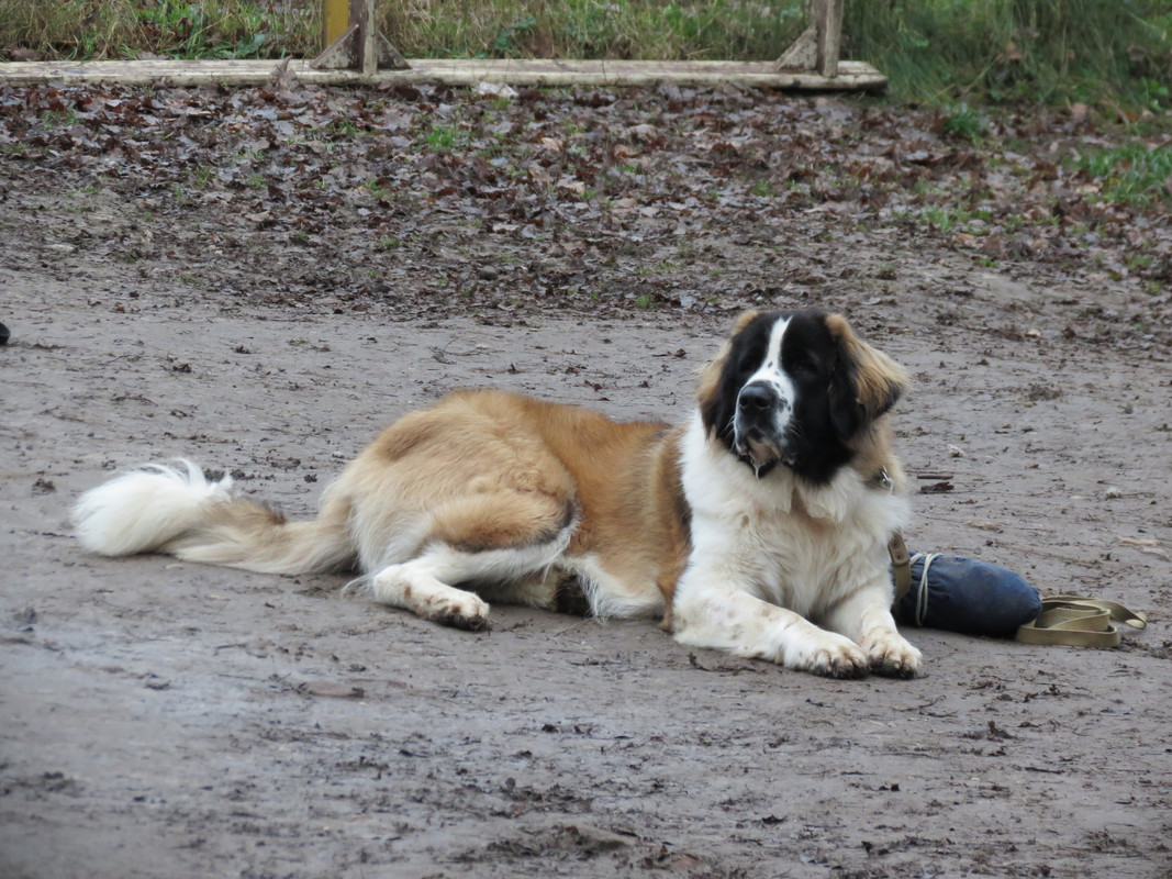 8 2013 год Ноябрь - 1