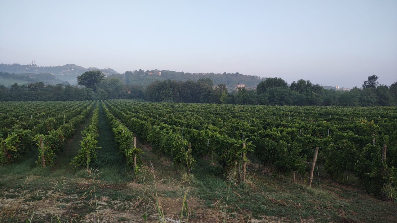 641DF1D3-510F-40FA-81D9-A81158623457