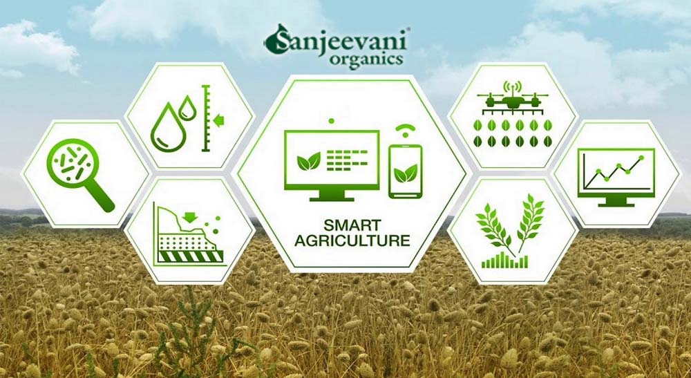 Sanjeevani Agrofoods Livestock Management