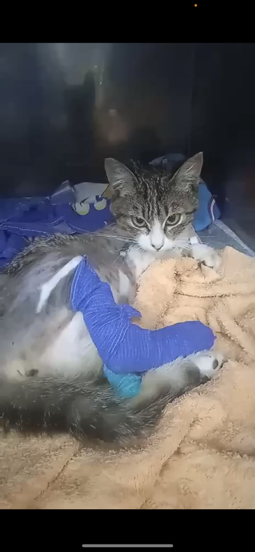 E361A606-6F3A-47CD-9323-5A01EE411097