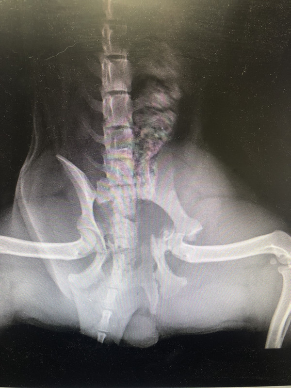 DEB7DC01-0483-4F7A-8DC6-4D02C46172E0