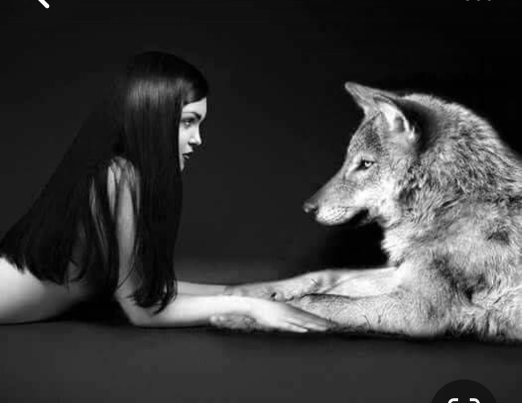 Screenshot_20231207_223446_Pinterest