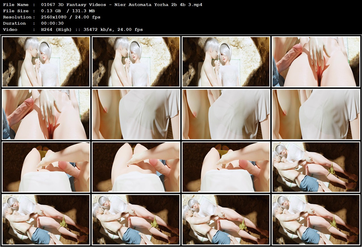 01067 3D Fantasy Videos - Nier Automata Yorha 2b 4b 3.mp4