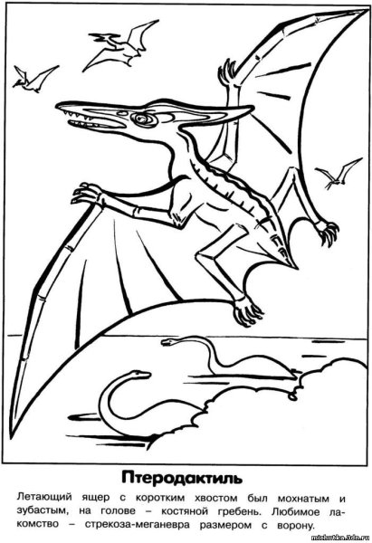 1677941571_papik-pro-p-pterodaktil-risunok-prostoi-37
