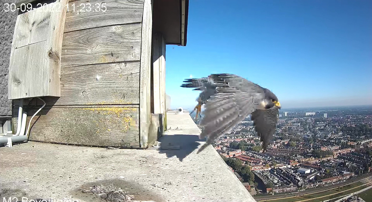 Tilburg/Westpointtoren - Pagina 20 Video-2022-09-30-114529-Moment-3