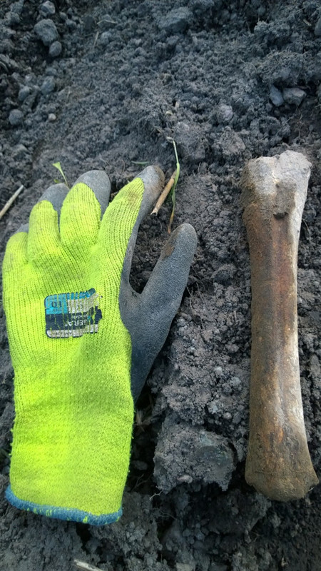 WP_20151103_16_10_20_Pro