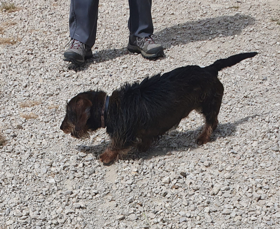 [Image: 20220512-144032.jpg]