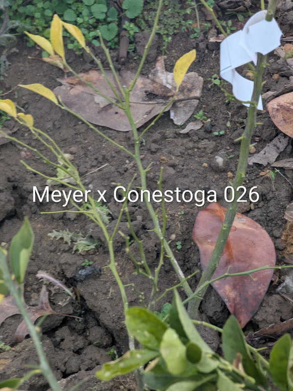 PXL 20260109 180933854 2