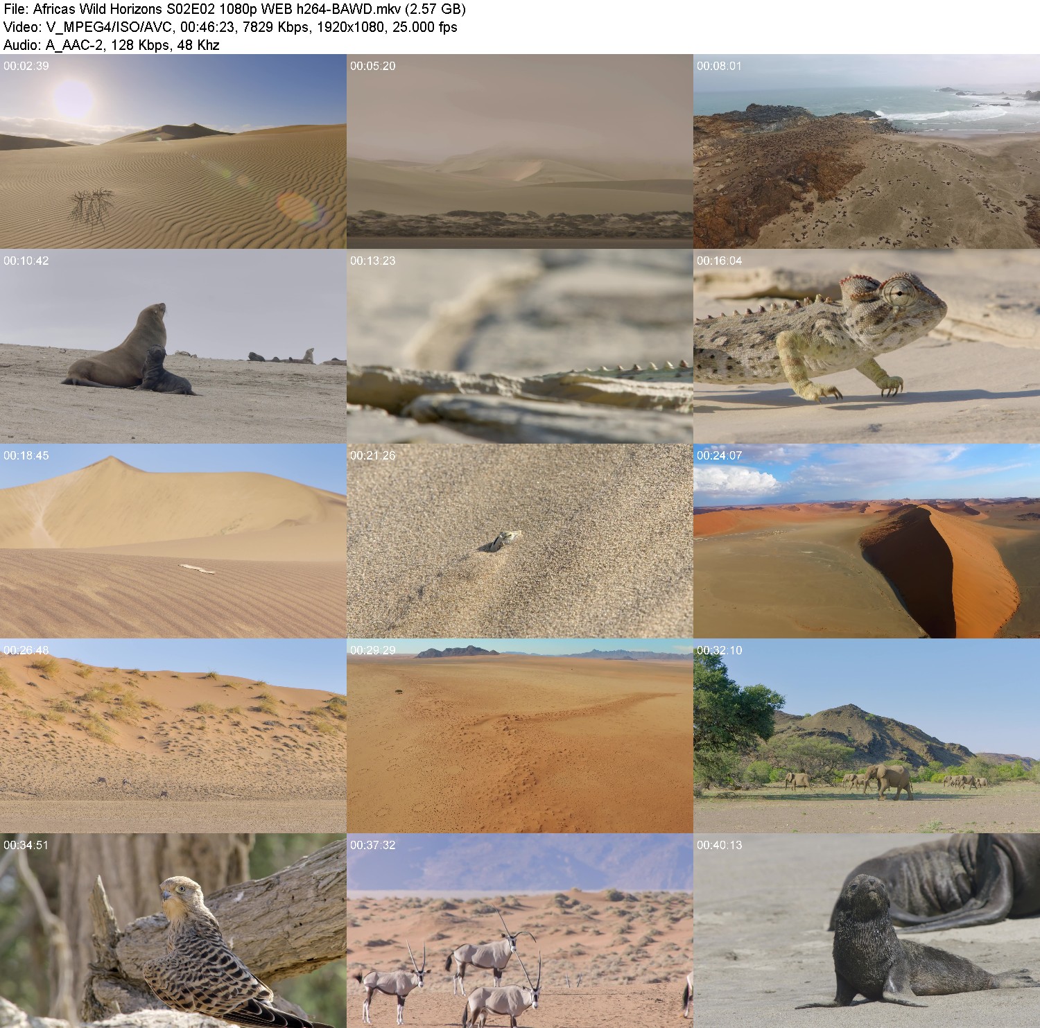 [Image: 6gj6x8aj3wol.jpg]