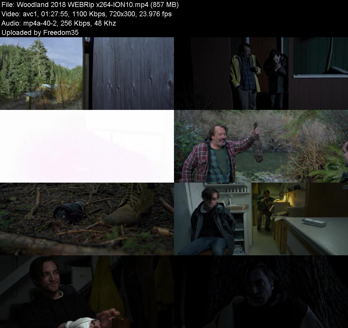 Woodland-2018-WEBRip-x264-ION10.jpg
