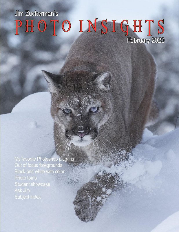 Photo-Insights-True-PDF-February-2020.jpg