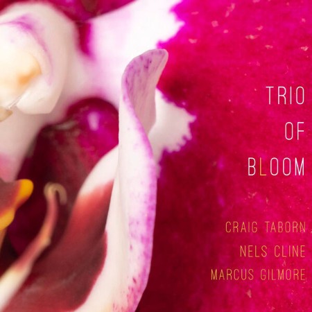 Trio-Of-Bloom-Trio-Of-Bloom-24-BIT-96-KHZ-WEB-FLAC-2025-OBZEN.jpg