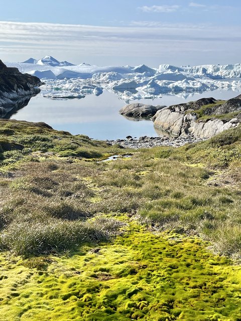 [Linked Image from i.postimg.cc]