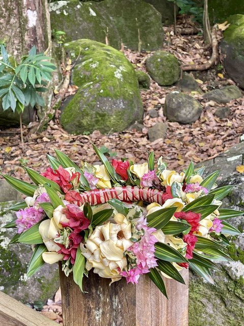 [Linked Image from i.postimg.cc]