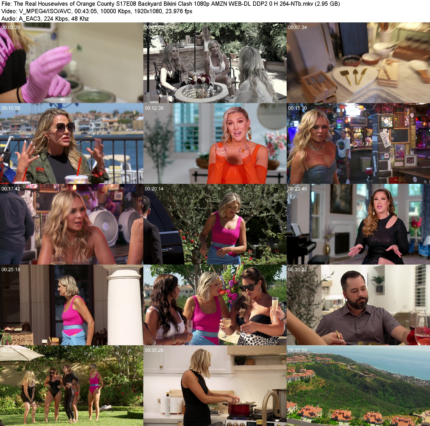 [Image: 2p9m3u4gfhhq.jpg]